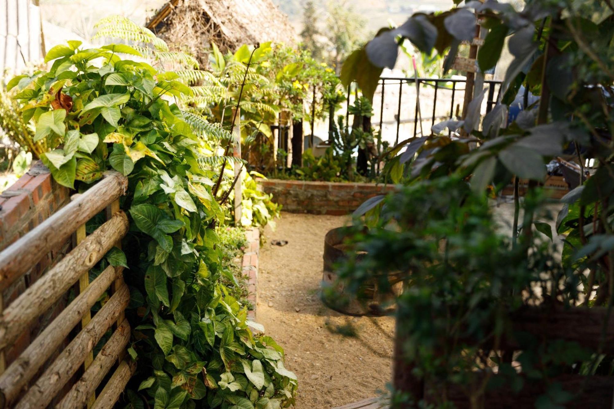 Sapa Plum Eco House Otel Dış mekan fotoğraf